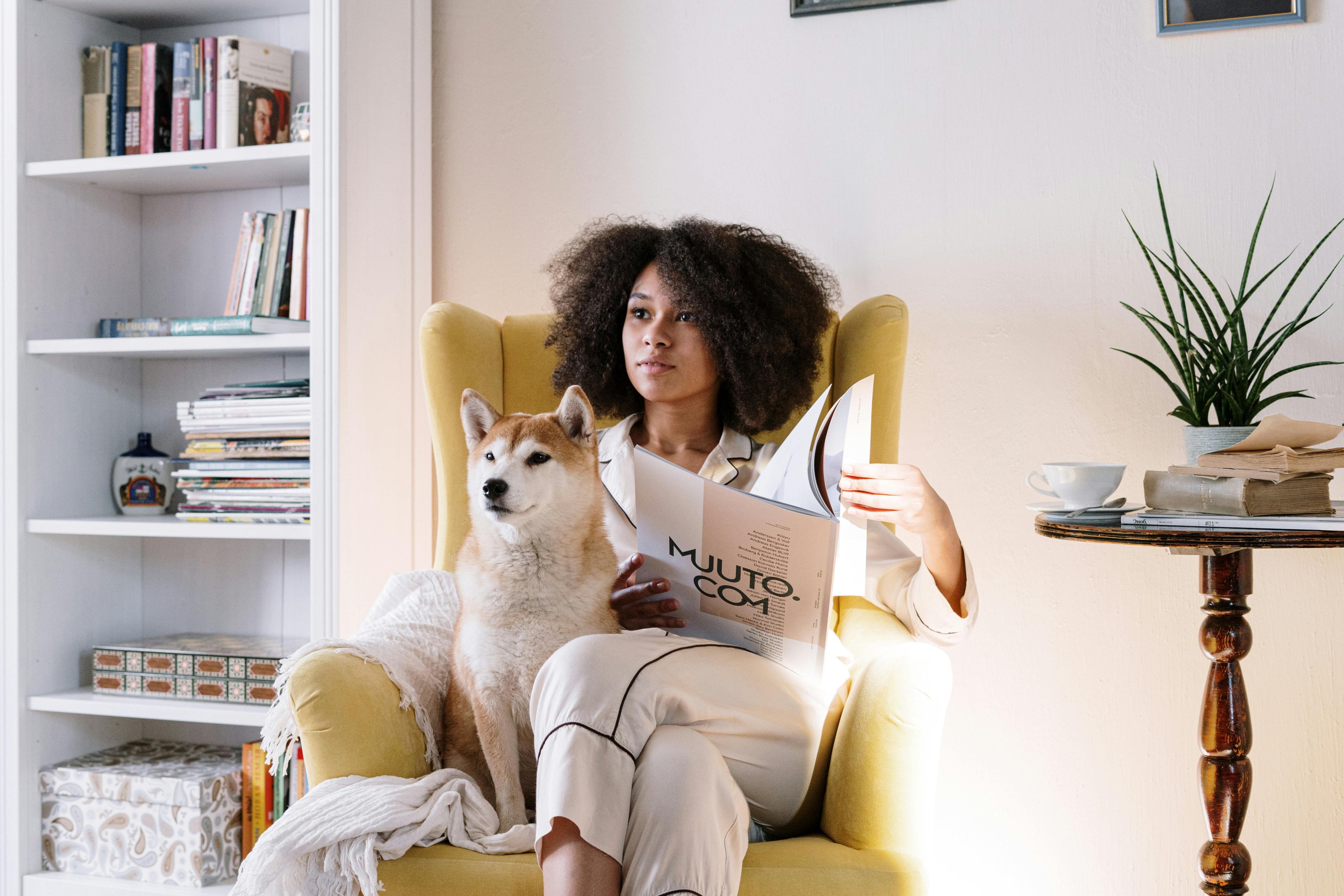 Quality Pet Supplies & Accessories | Big Sky Critter Creations
