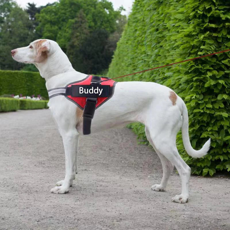 Personalized Adjustable Reflective Dog Harness With Customized Patch