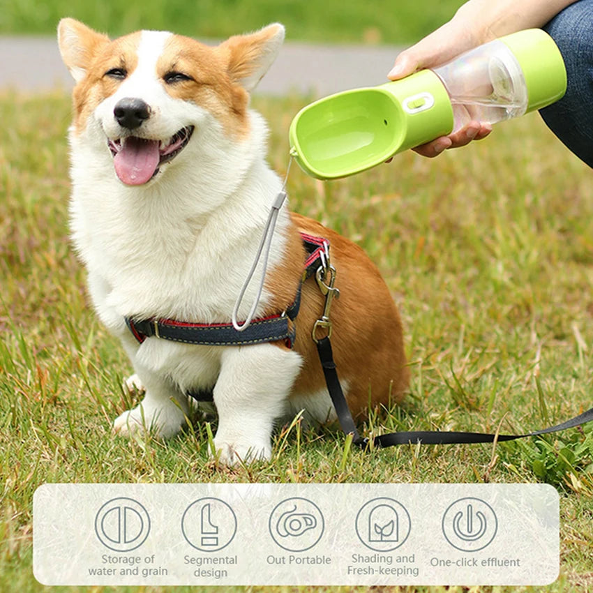 Portable Pet Water Bottle & Feeder Bowl