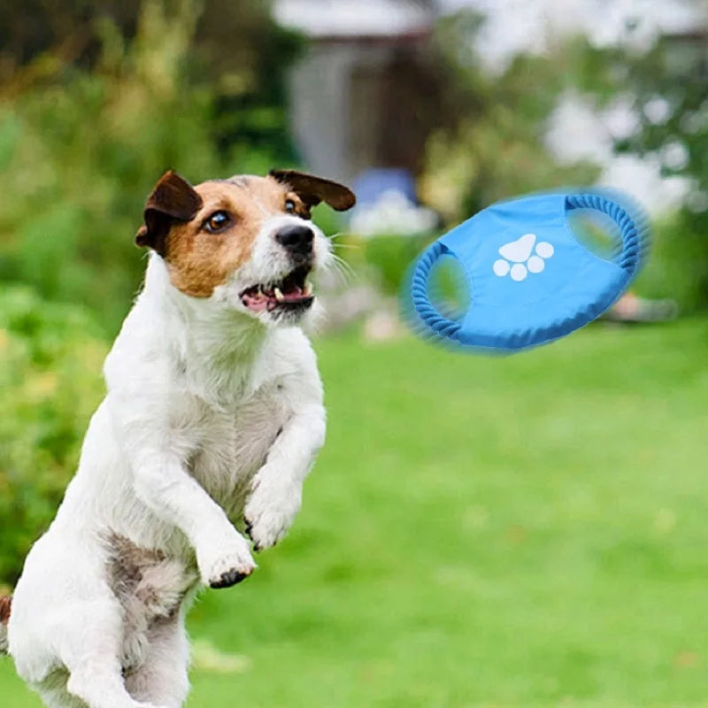 Cotton Rope Frisbee for Small Dogs