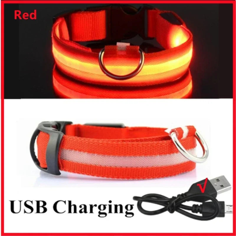 3 Mode LED Light Up Collar