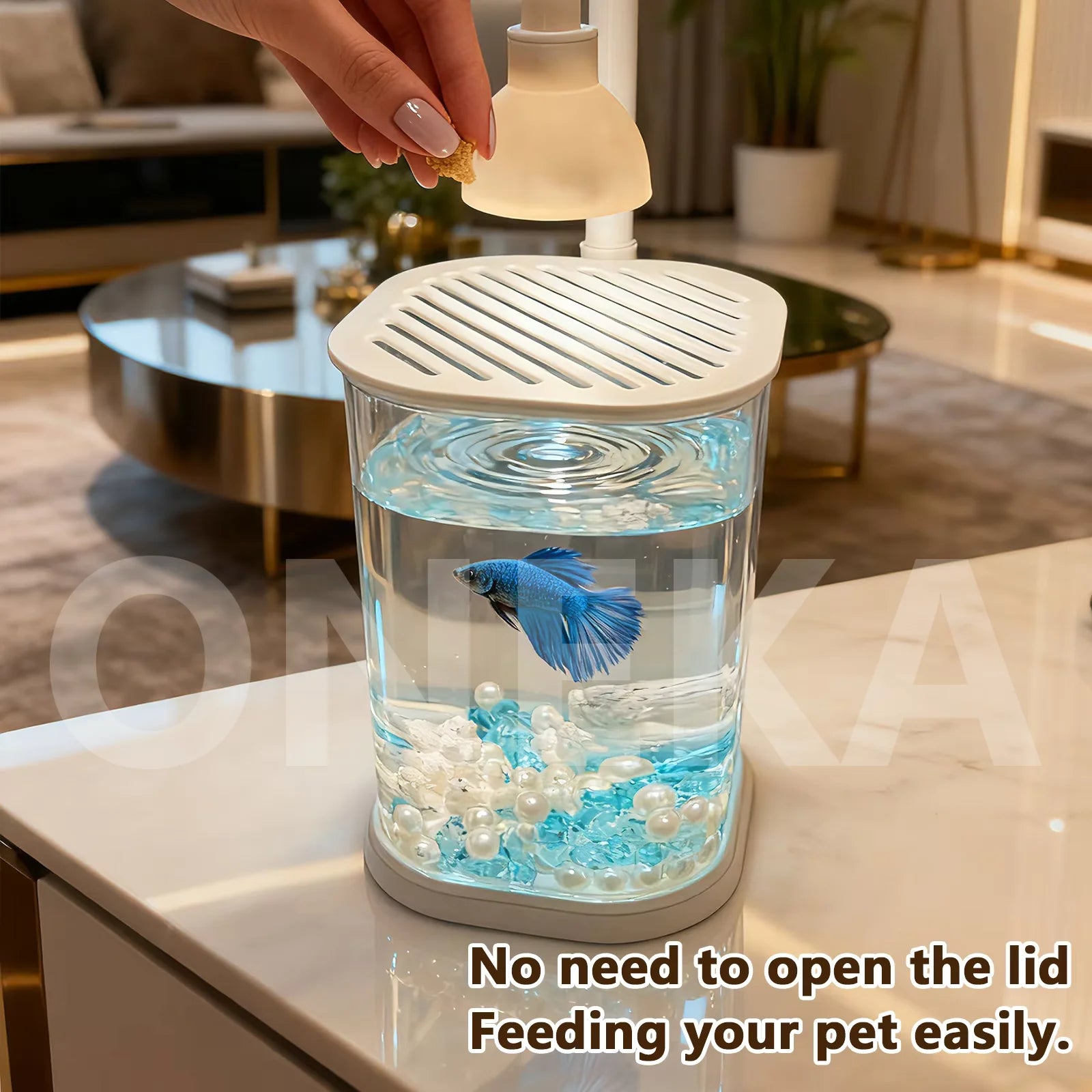 Starter Kit Small Fish Tank With Light