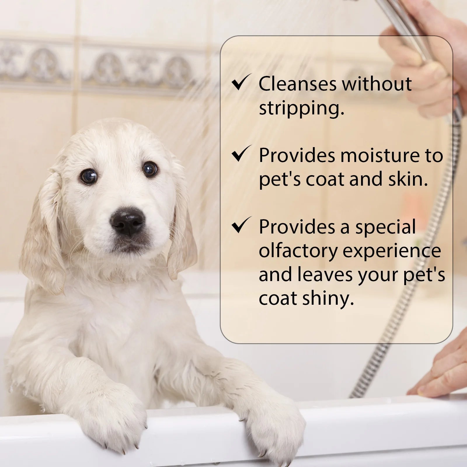Dog Wash Shampoo: Flea & Mite Killer, Anti-Itch, Deodorizing & Moisturizing Formula for Softening Coat