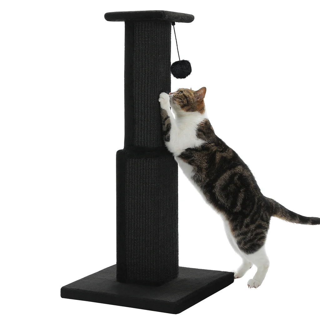 Large Cat Scratching Post for Indoor Cats