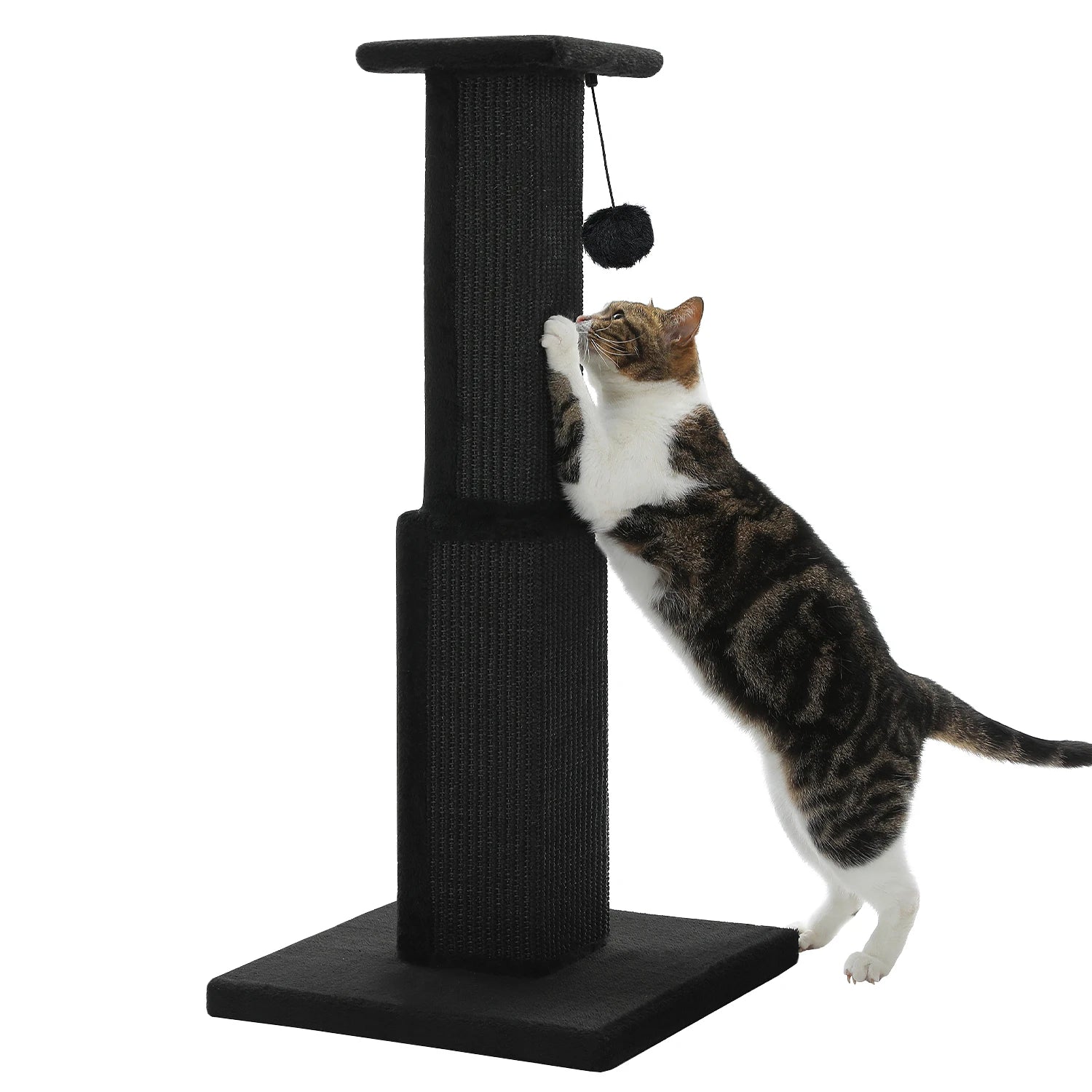 Large Cat Scratching Post for Indoor Cats
