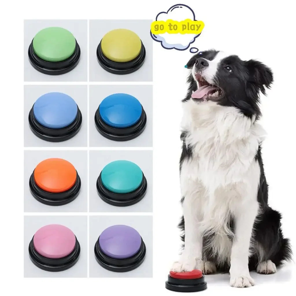 Pet Communication Voice Recording Button