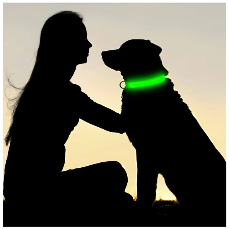 3 Mode LED Light Up Collar