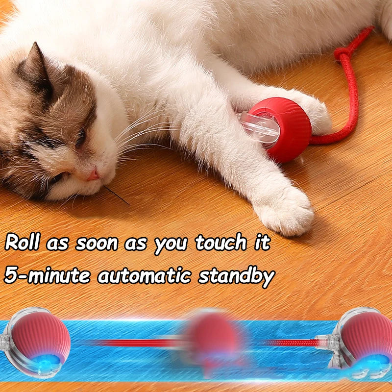 Rechargeable Automatic Rolling Ball with Faux Tail