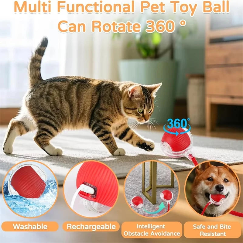 Rechargeable Automatic Rolling Ball with Faux Tail