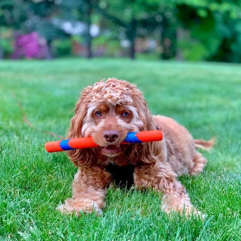 12 Inch Interactive Durable Outdoor Dog Fetch Stick