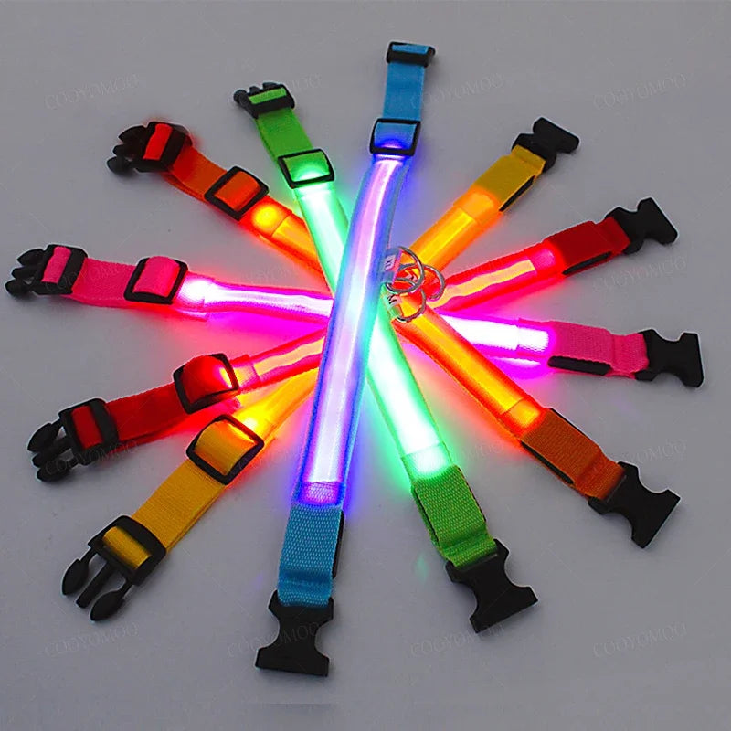 3 Mode LED Light Up Collar