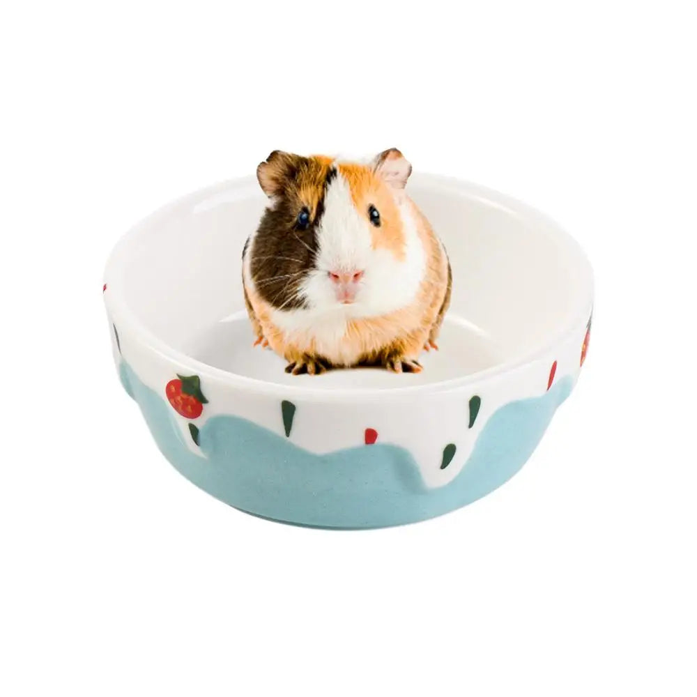 Small animal water and food dish