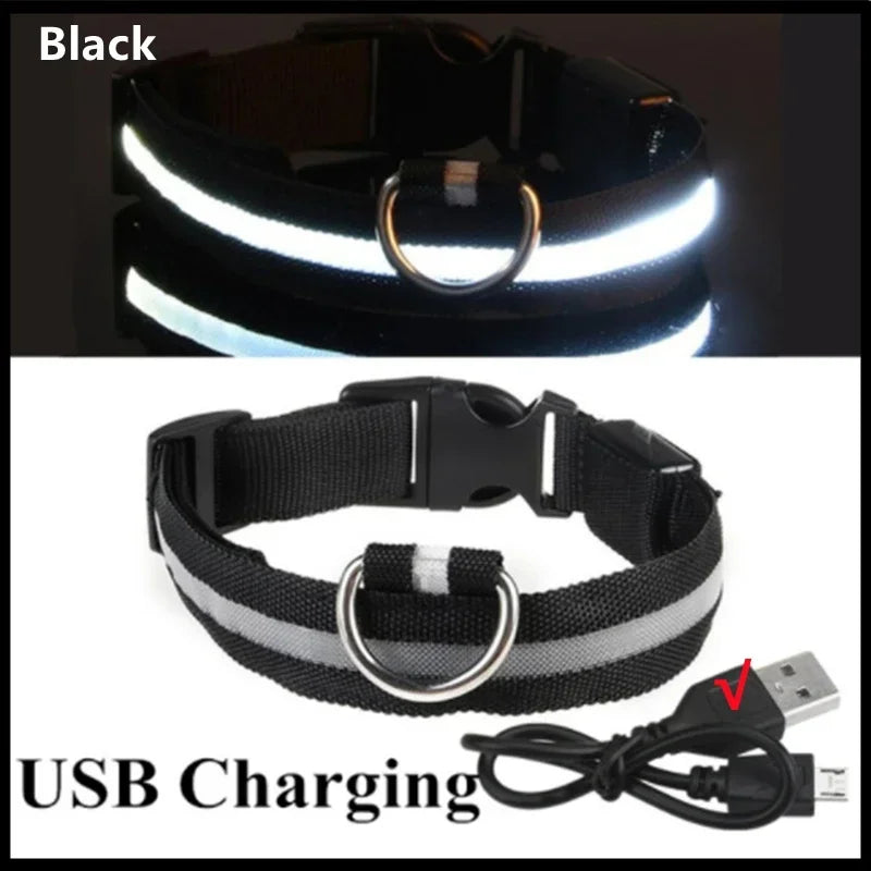 3 Mode LED Light Up Collar