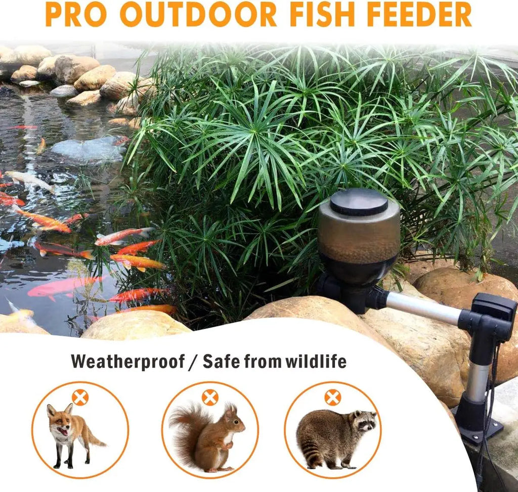 Large Programmable Auto Pond Feeder with LCD Display, 5.5L Capacity for Koi