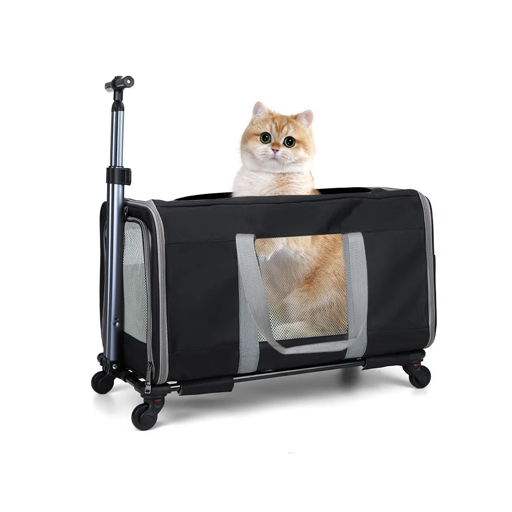 Cat trolley for 2 cats with safety belts