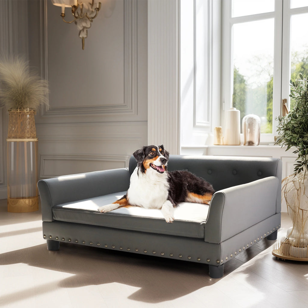 Extra Large Elevated Dog Bed Sofa With Removable Cushion