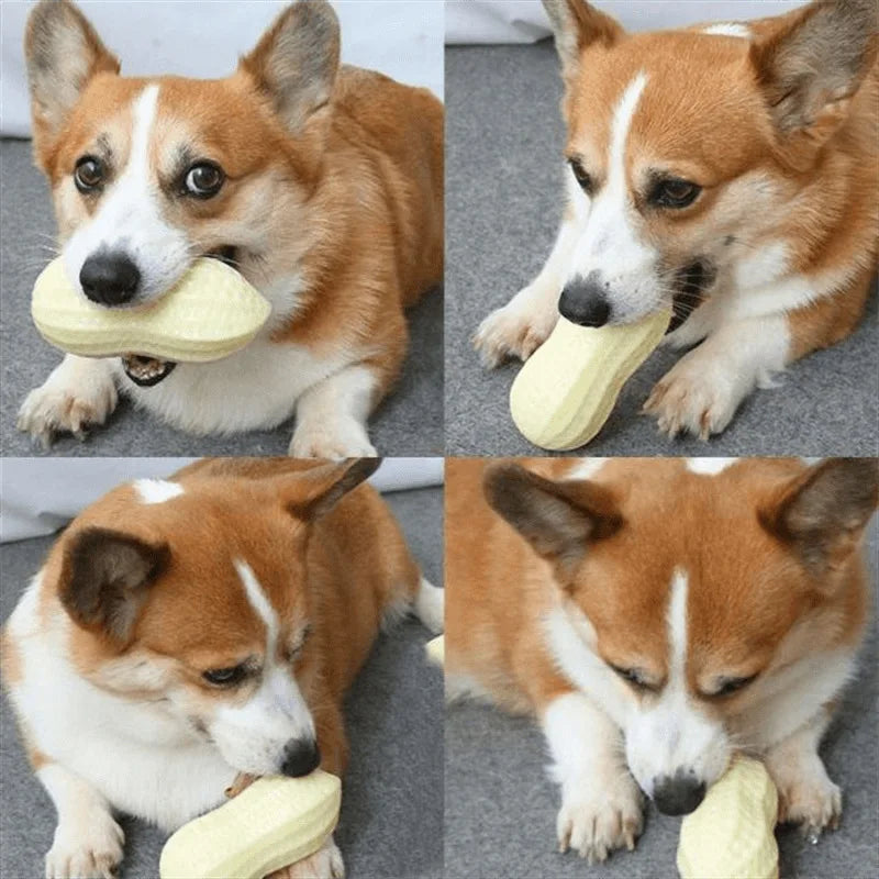 Dog Chewing Squeaking Peanut Toy