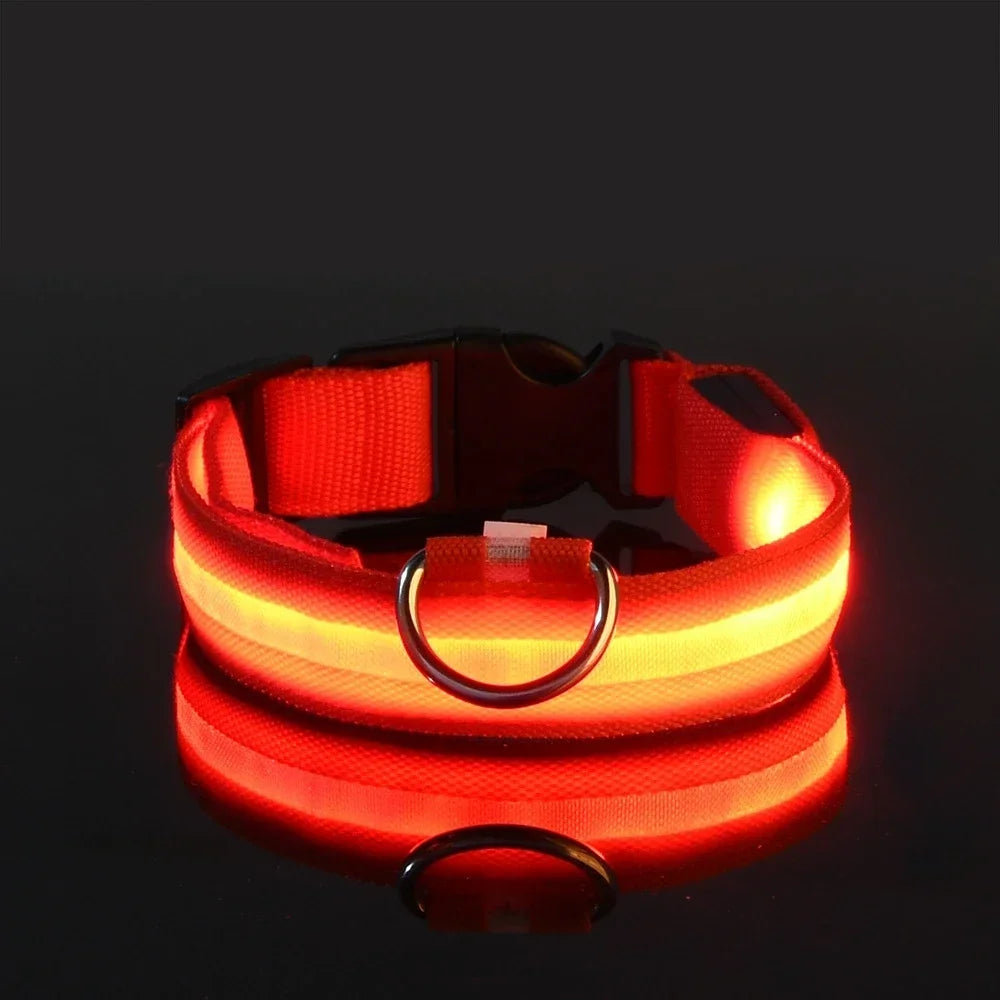 Flashing Glow In The Dark Nylon Dog Collar