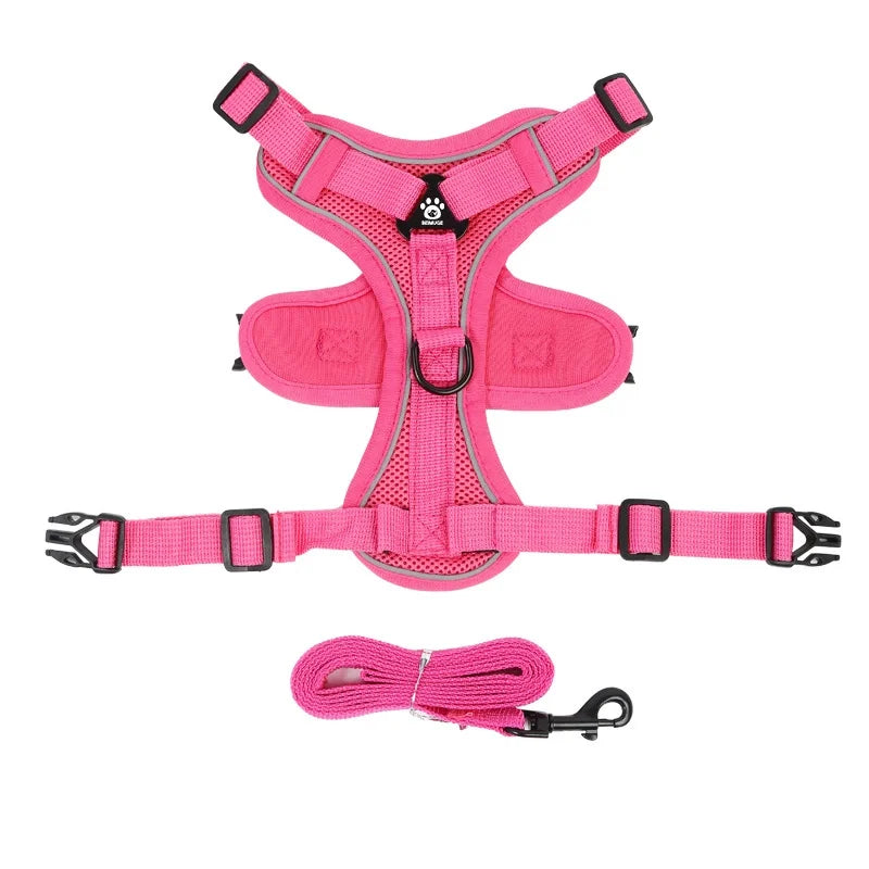 No Pull Reflective Dog Harness and Leash Set for Small Dogs and Cats