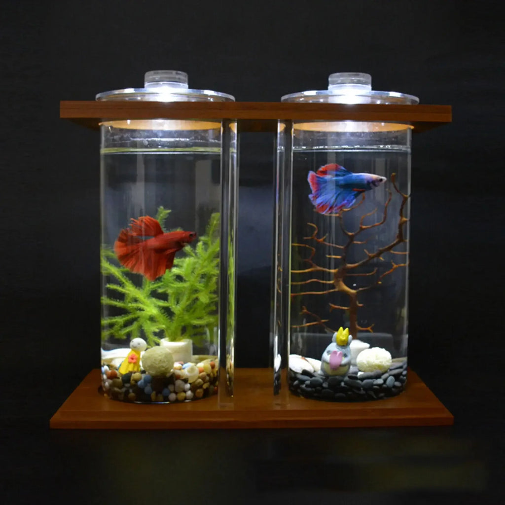 Glass Betta Fish Tank with LED Light
