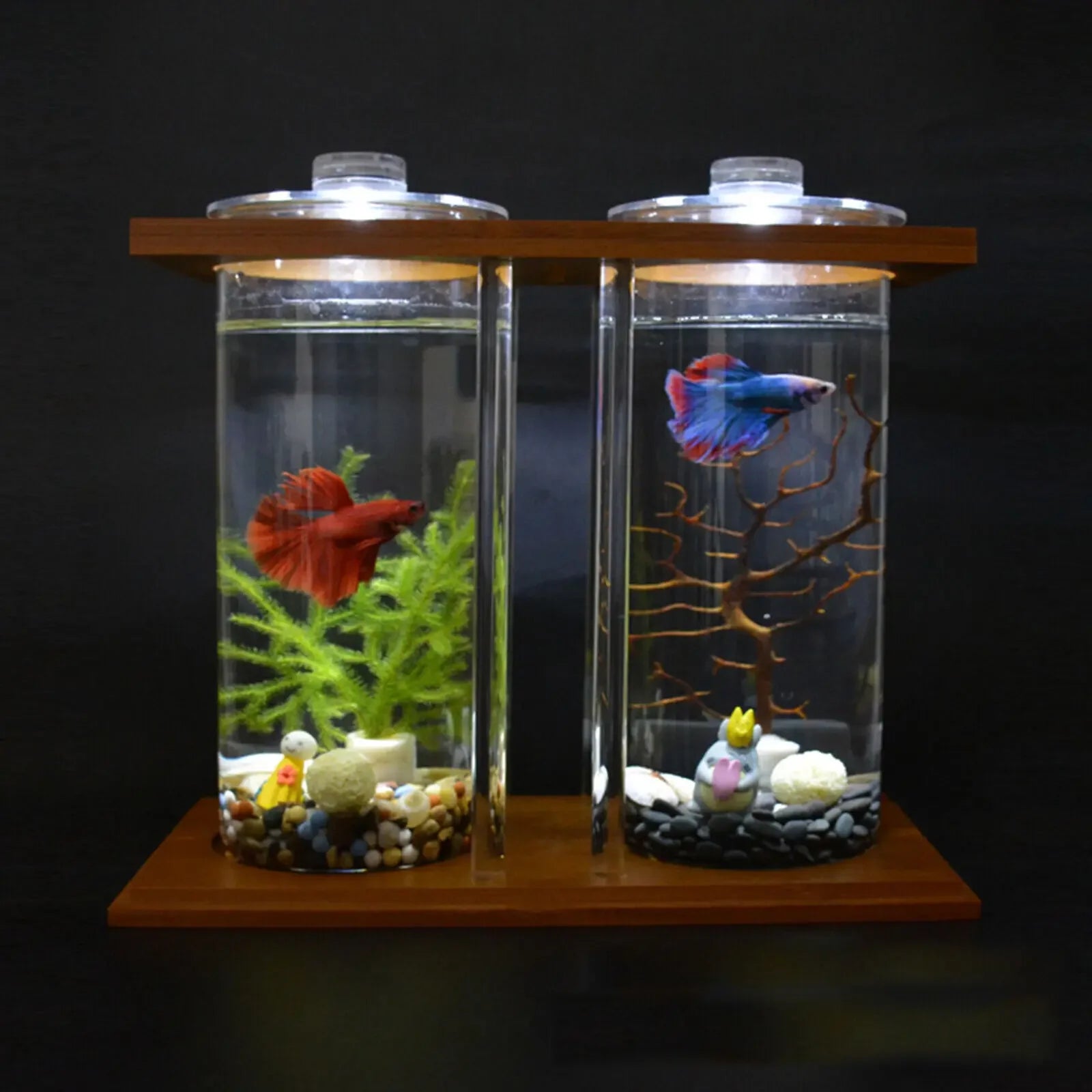Glass Betta Fish Tank with LED Light