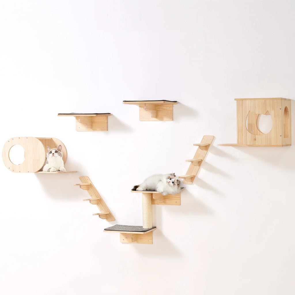 Wall Mounted Cat Shelves and Perches with Jumping Boards Hammocks