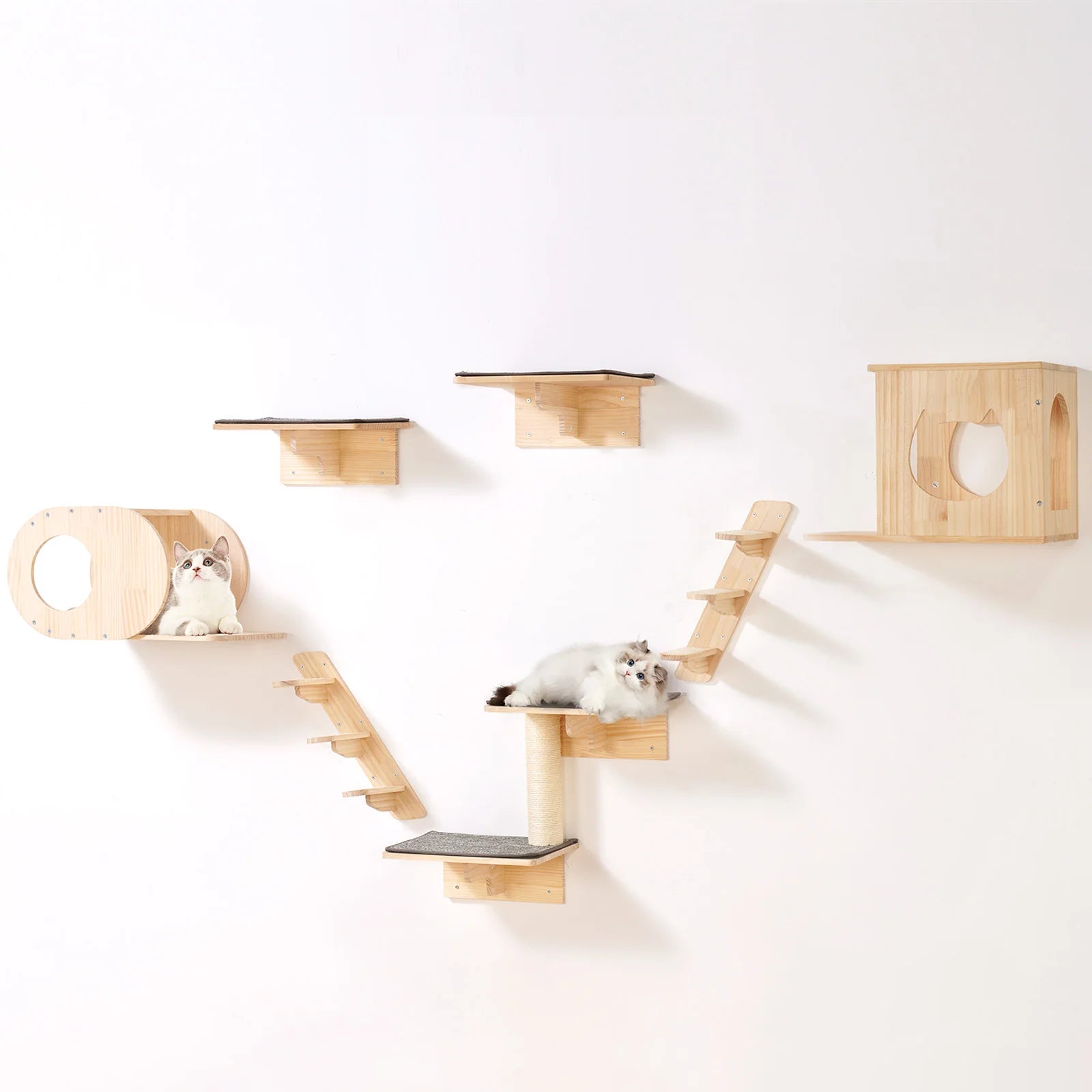 Wall Mounted Cat Shelves and Perches with Jumping Boards Hammocks
