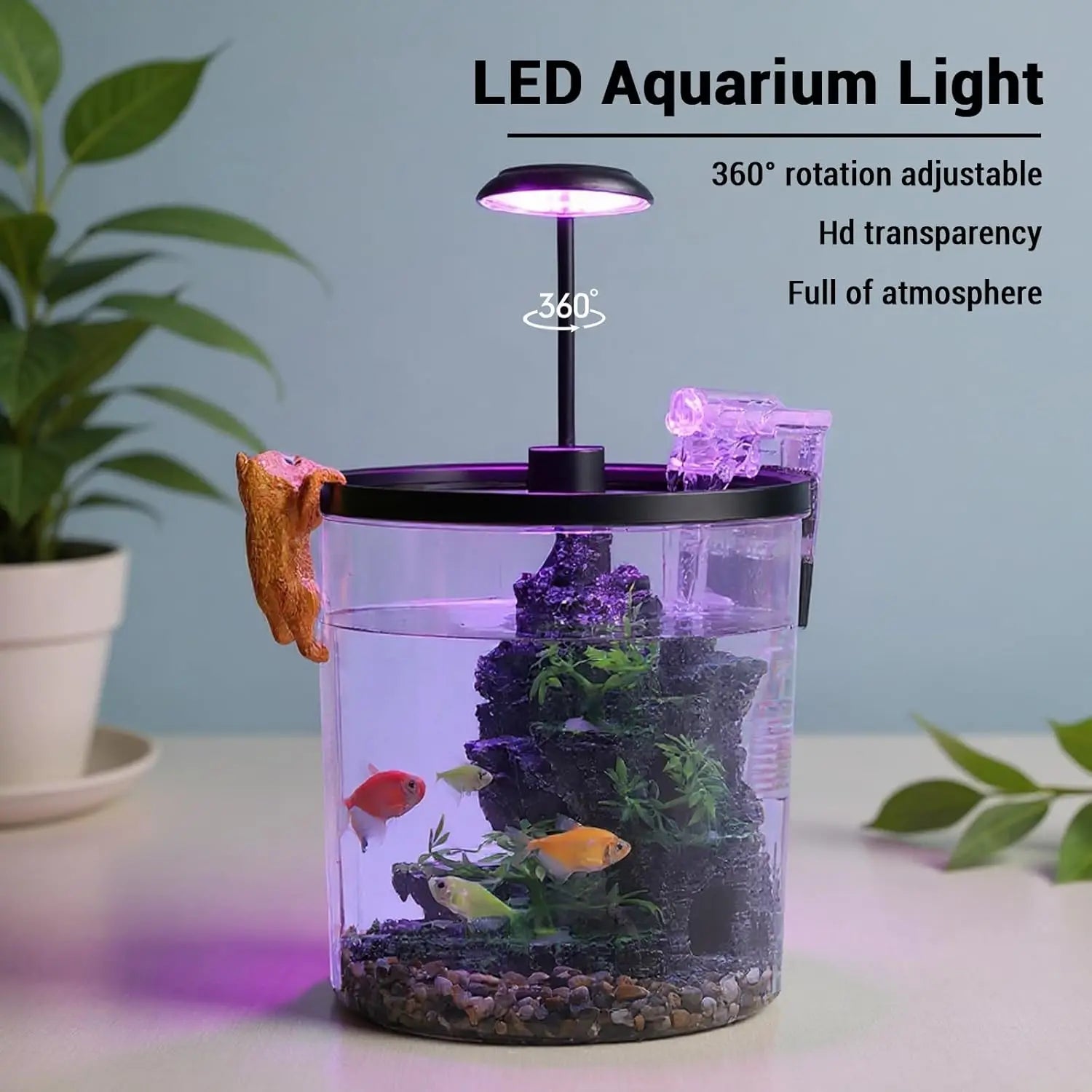 1.5 Gal Betta Fish Tank Starter Kit With Quiet Filter LED Light Oxygen Generator