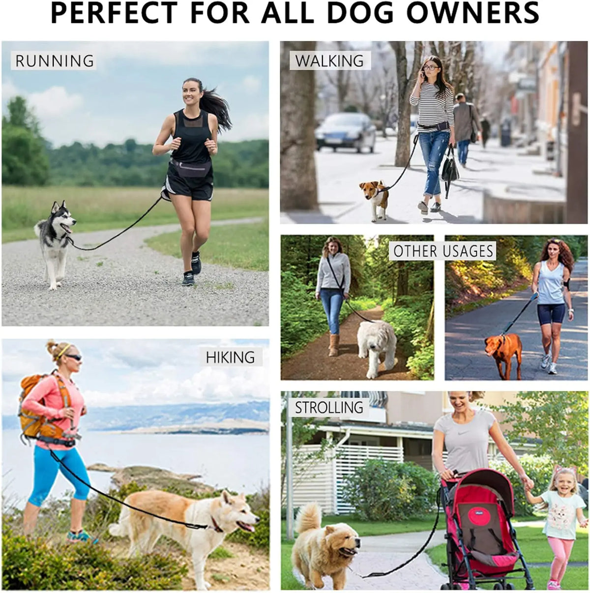Hands Free Dog Leash with Waist Belt & Large Zipper Pouch