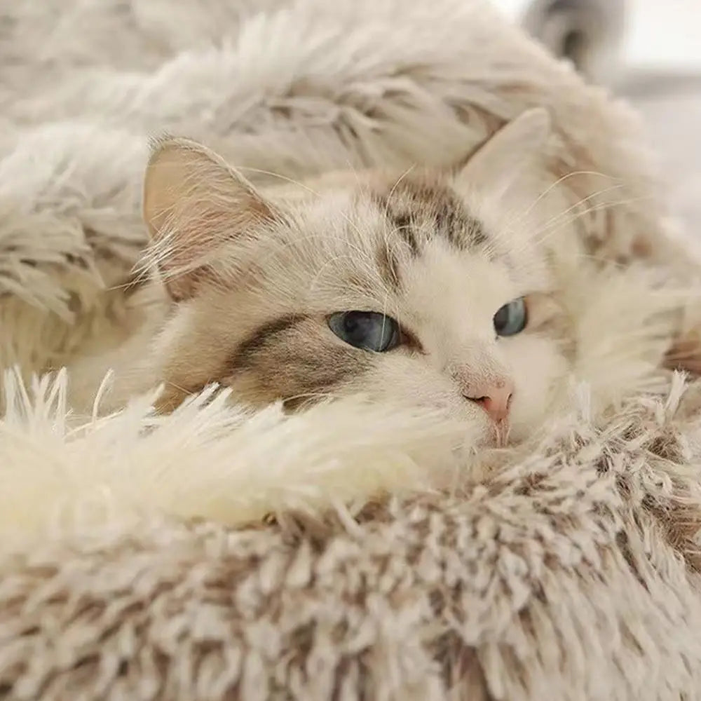 Plush Round Pet Bed for Cats and Small Dogs