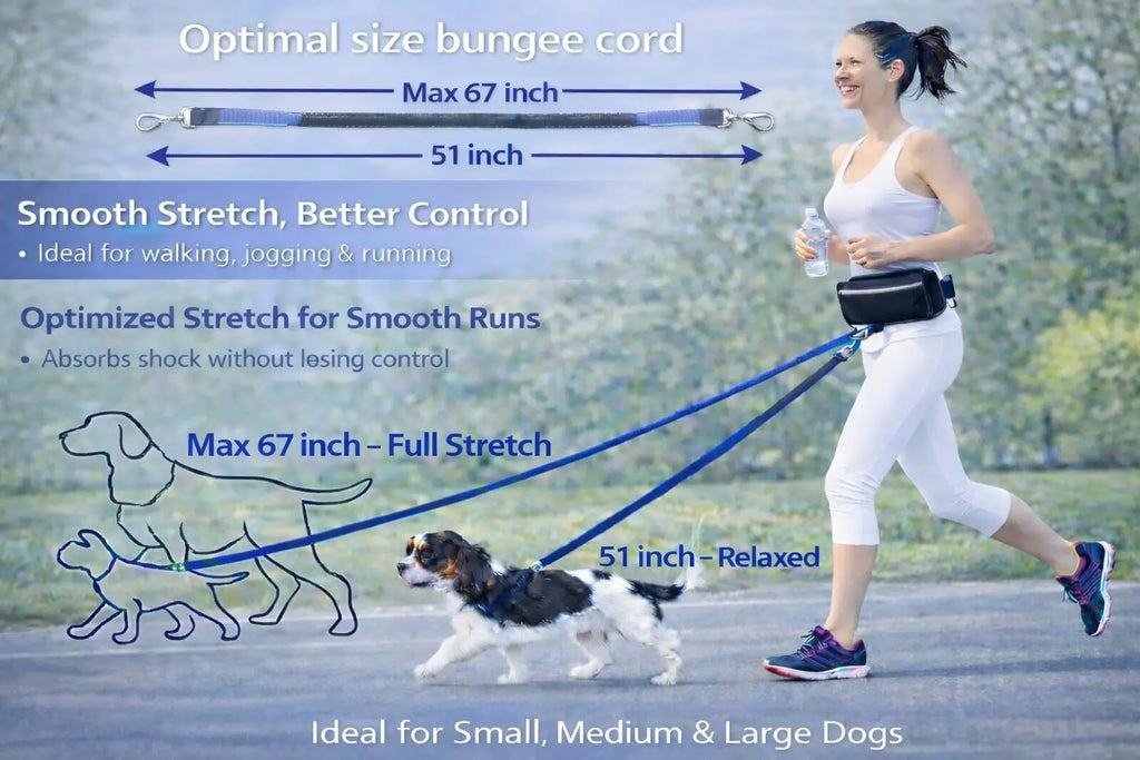 Hands Free Dog Leash with Waist Belt & Large Zipper Pouch