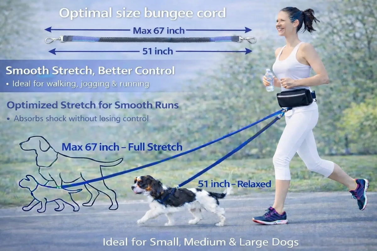 Hands Free Dog Leash with Waist Belt & Large Zipper Pouch