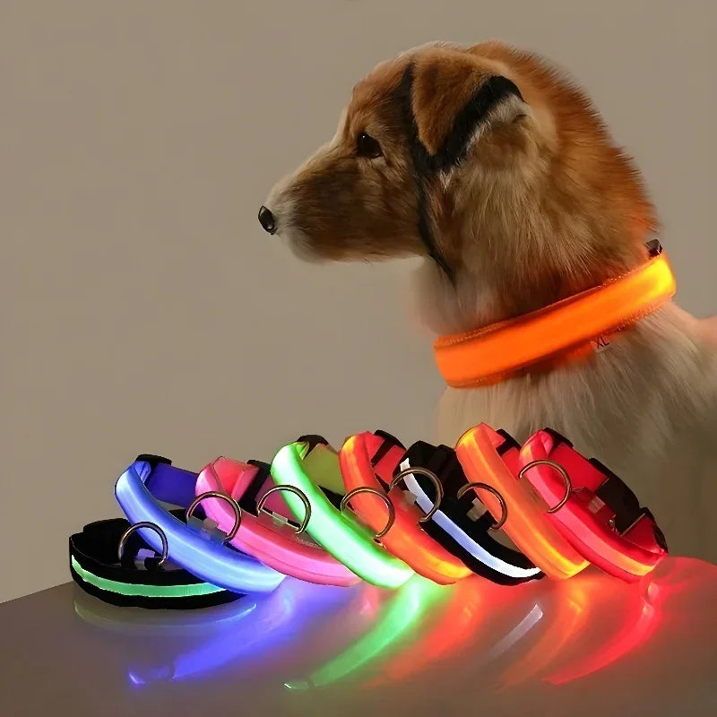 Flashing Glow In The Dark Nylon Dog Collar