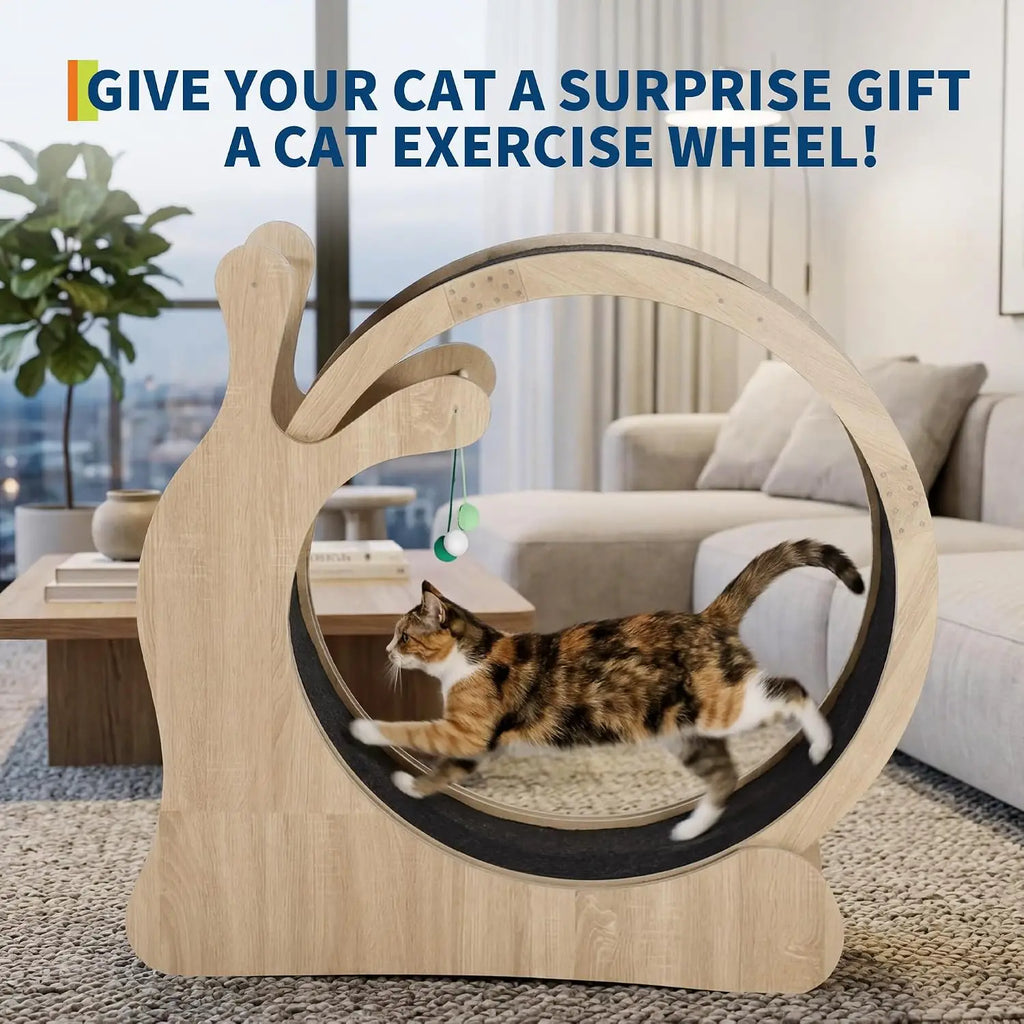 3 in1 Solid Wood Cat Treadmill Running Wheel