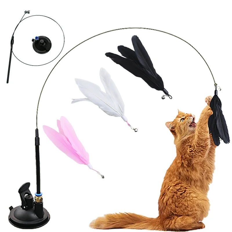 Interactive Teaser Wand Toy for Cats