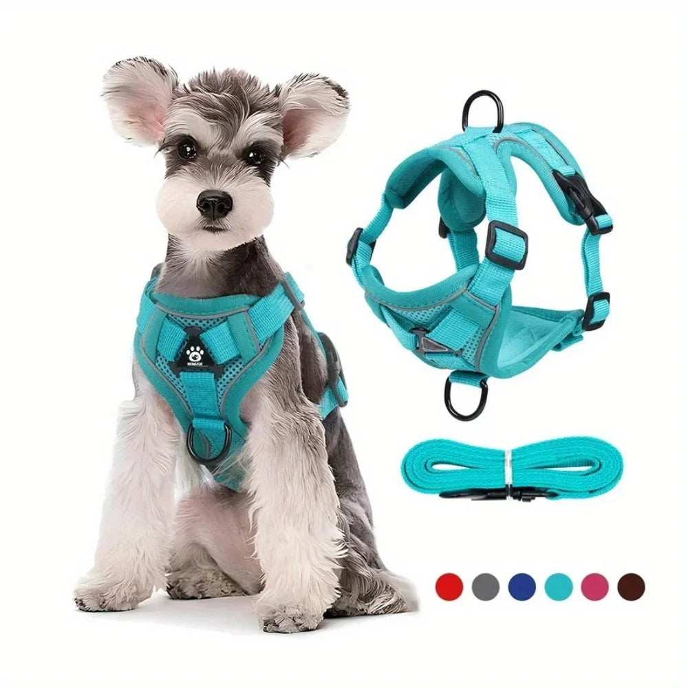 No Pull Reflective Dog Harness and Leash Set for Small Dogs and Cats
