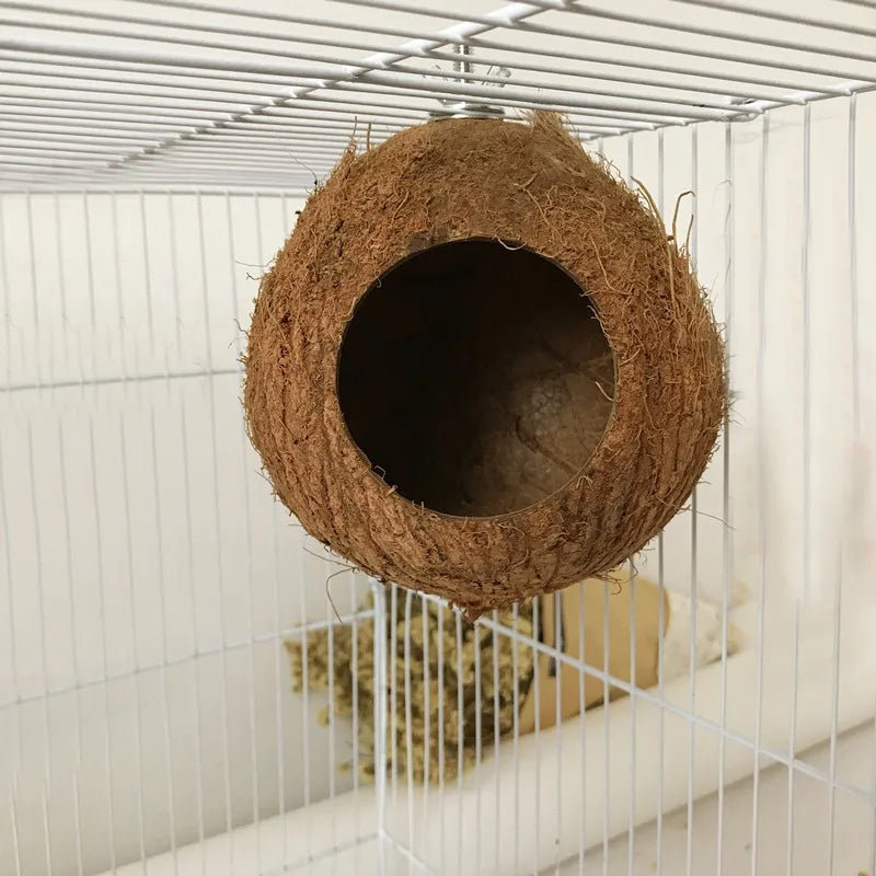 Coconut Shell Bird Nest Cage Hanging Toy