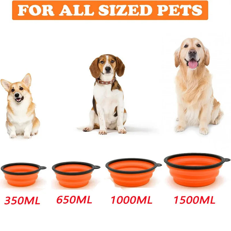 Folding Portable Silicone Dog Feeder Bowl with Carabiner