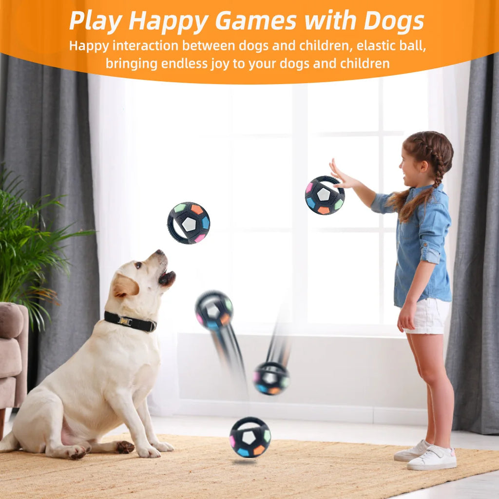 durable squeaky teething relief to accompany outdoor training