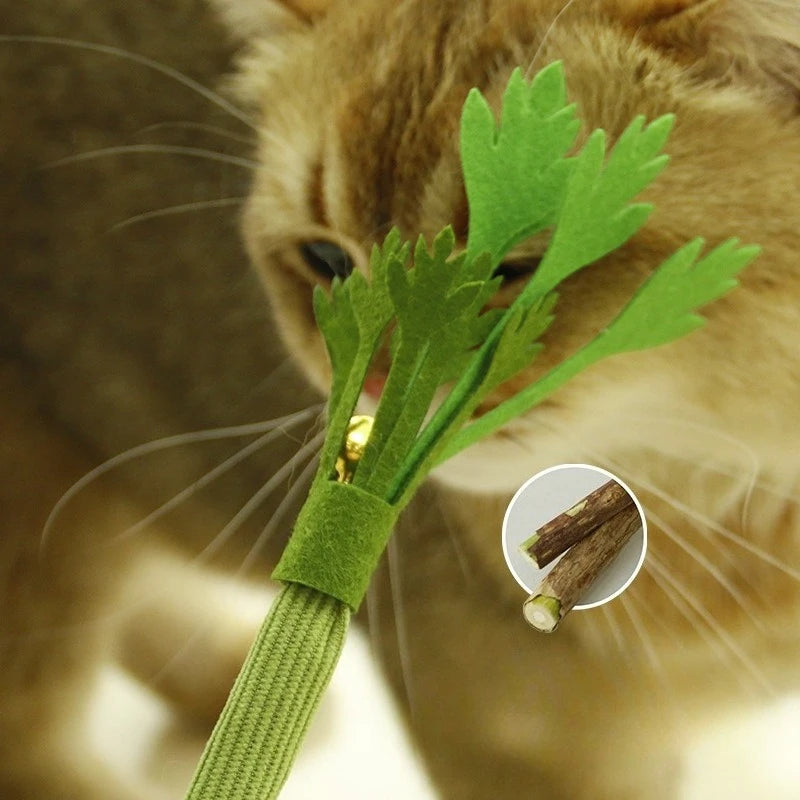 Interactive Self High Catnip Molar Stick With Bell