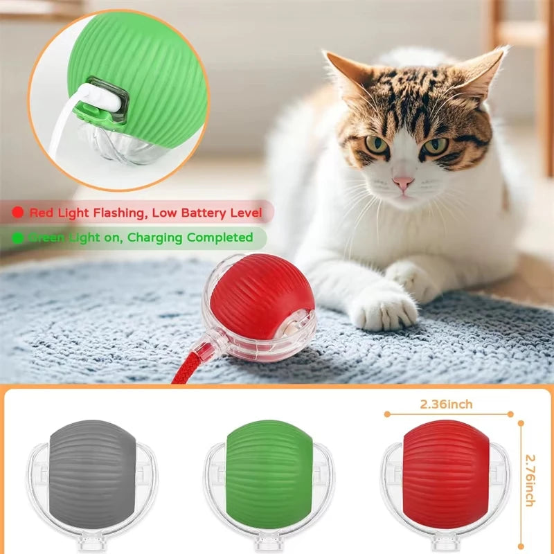 Rechargeable Automatic Rolling Ball with Faux Tail