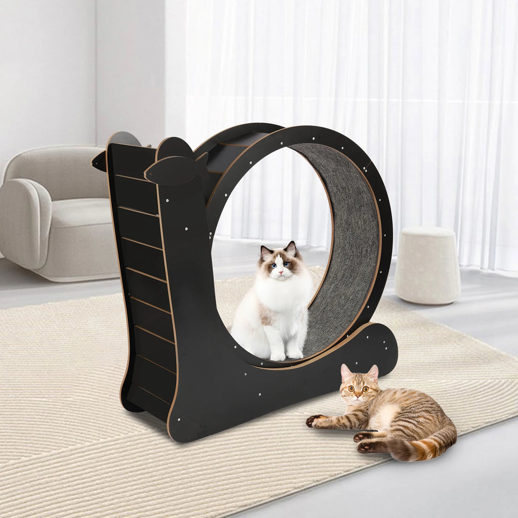110*34*102cm Cat Exercise Wheel