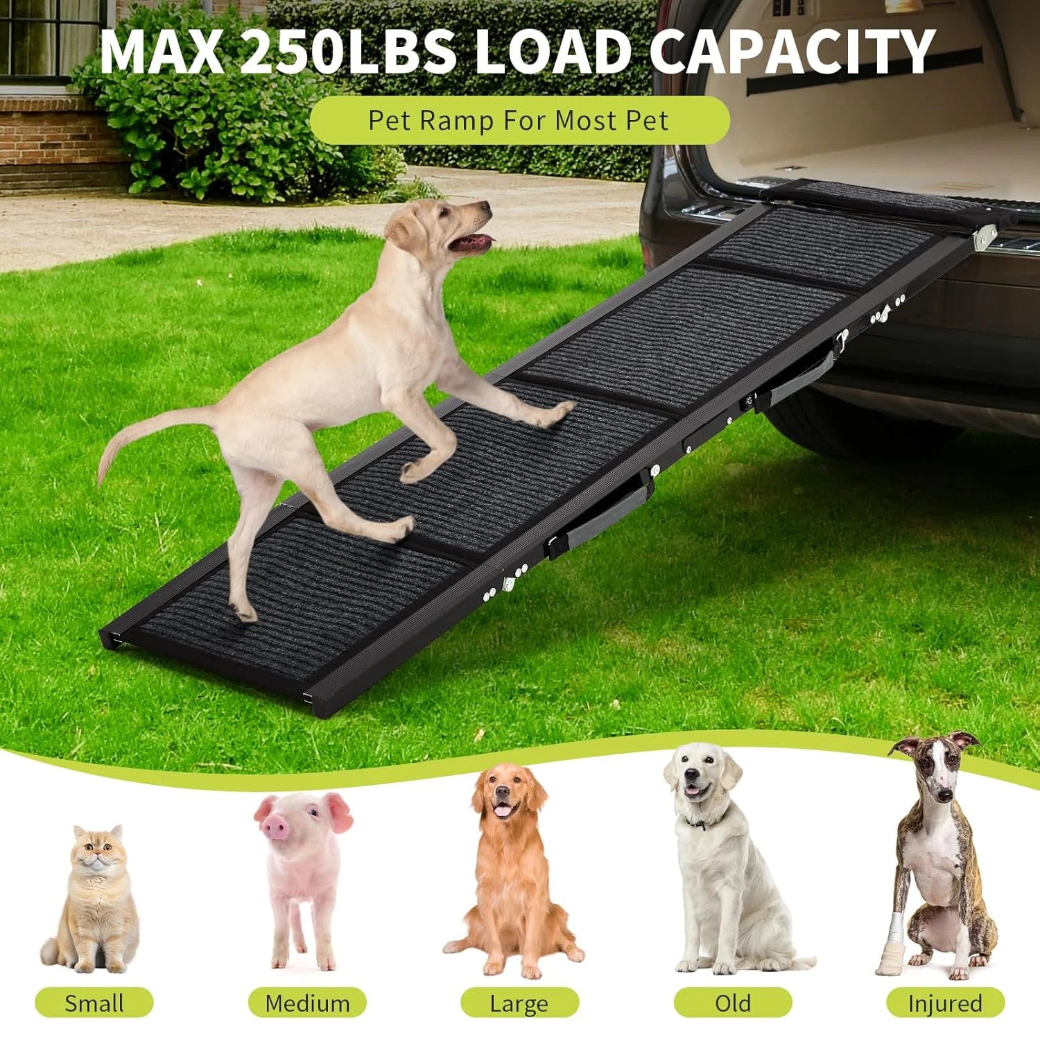 Folding Dog Ramp For Cars For Large Dogs Up ti 250 LBS With Non-Slip Surface