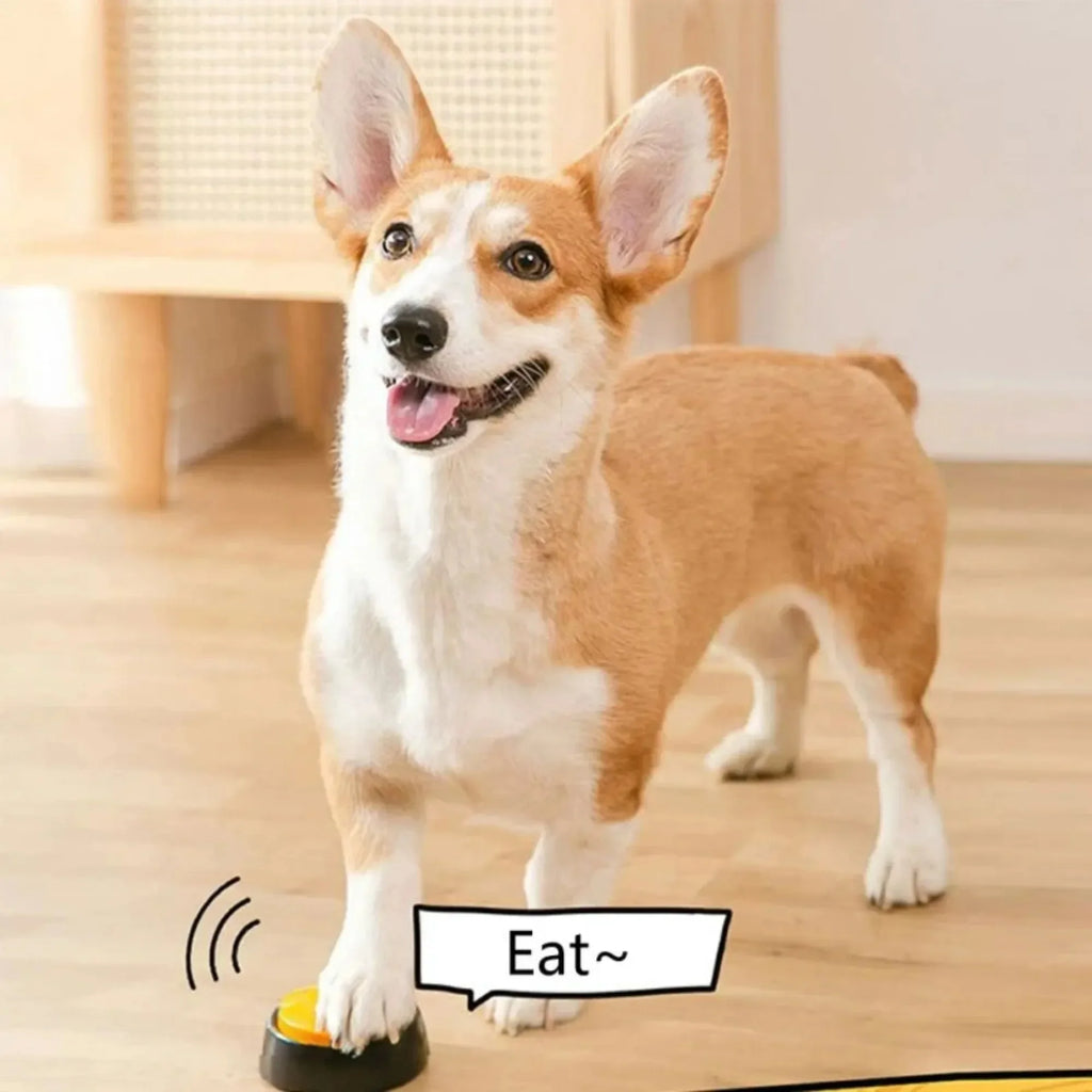 Pet Communication Voice Recording Button