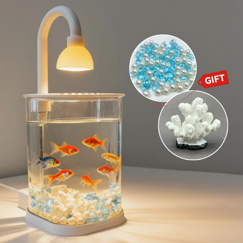 Starter Kit Small Fish Tank With Light