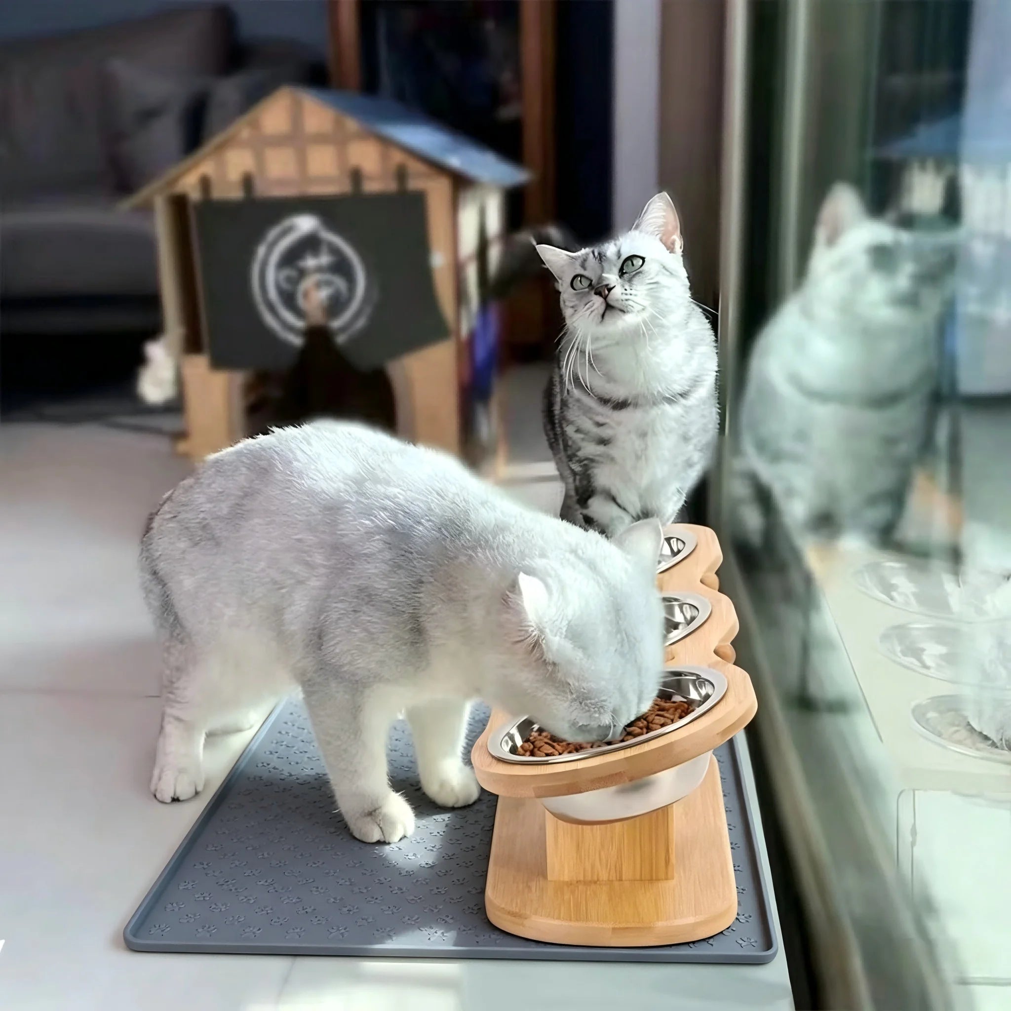 Cat 3 Bowls in 1 Raised Feeder with Silicone Food Mat