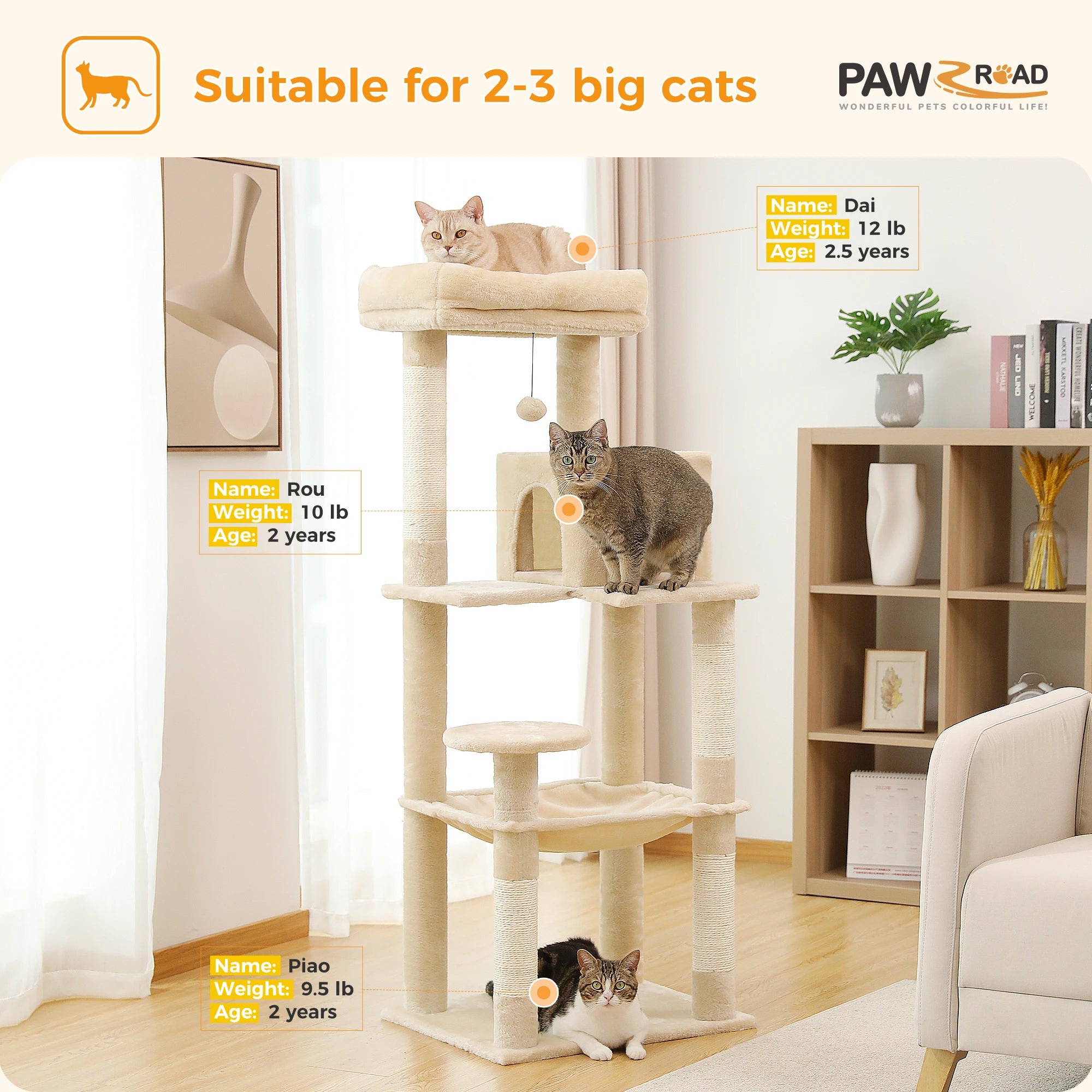 5-Level Cat Tower for Large Cats