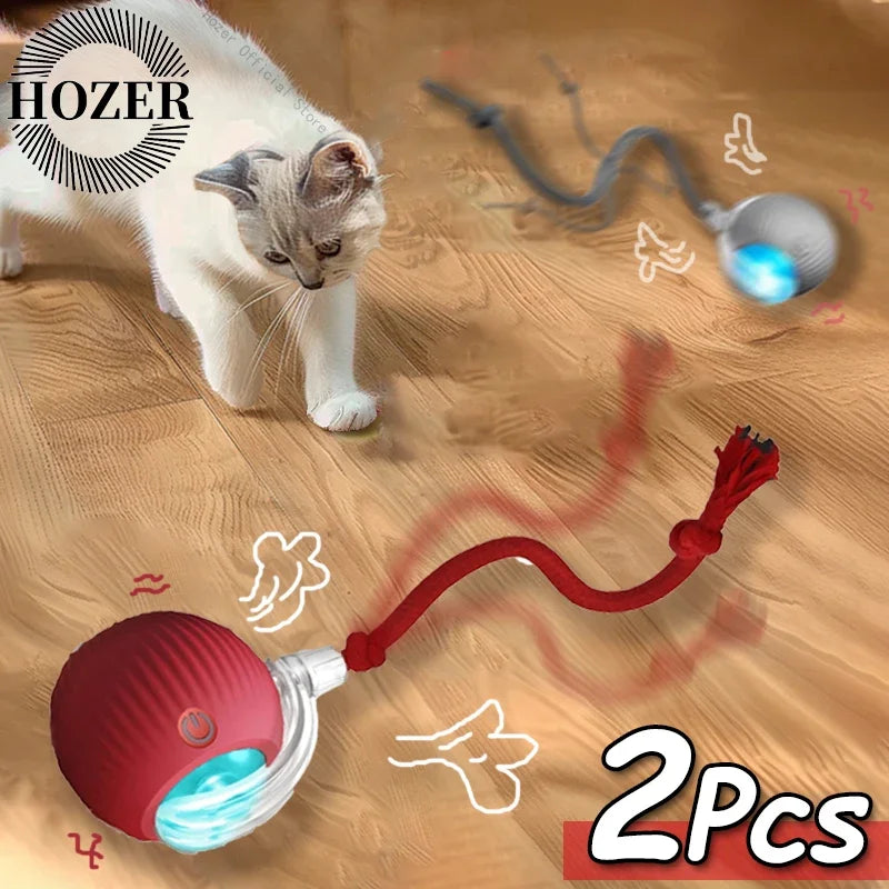 2Pcs Cat Interactive Ball Toy