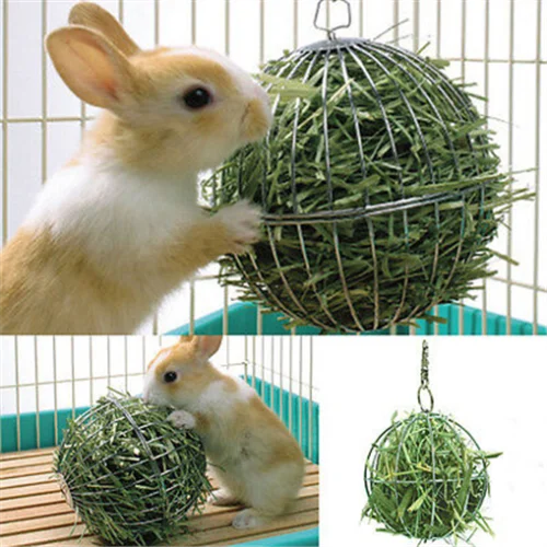 Stainless Steel Round Feed Dispense Ball Pet Toy