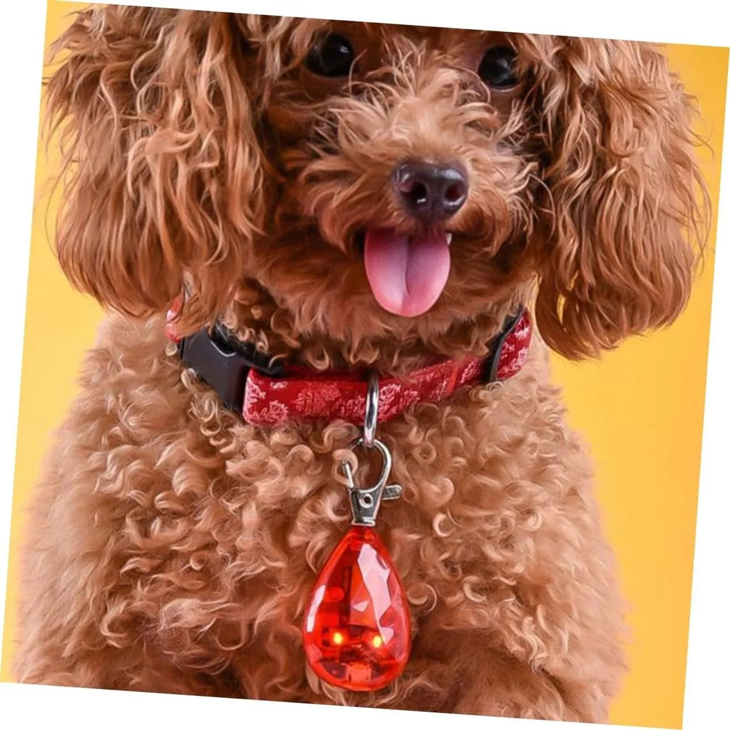 Clip On LED Pet Collar for Nighttime